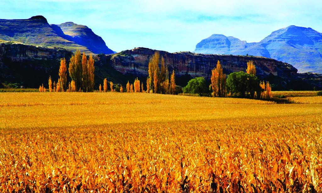 Lola'S Self Catering Accommodation Clarens Buitenkant foto