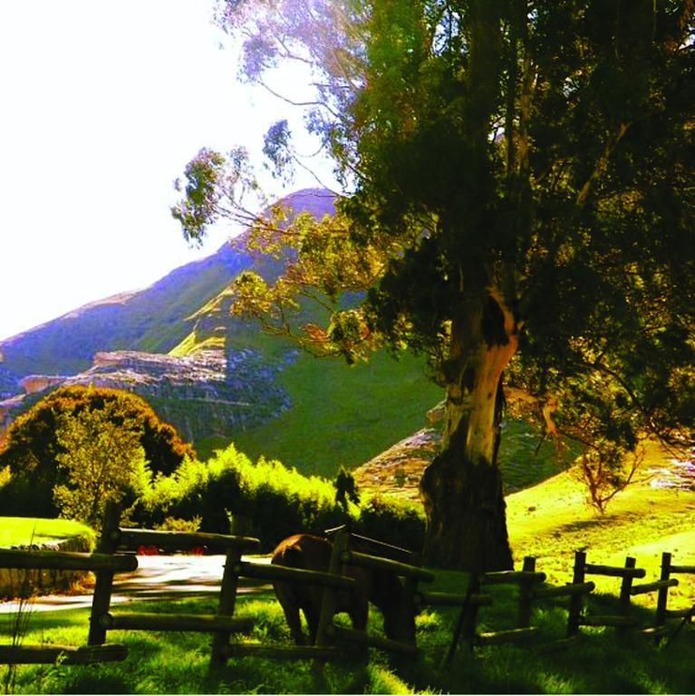 Lola'S Self Catering Accommodation Clarens Buitenkant foto